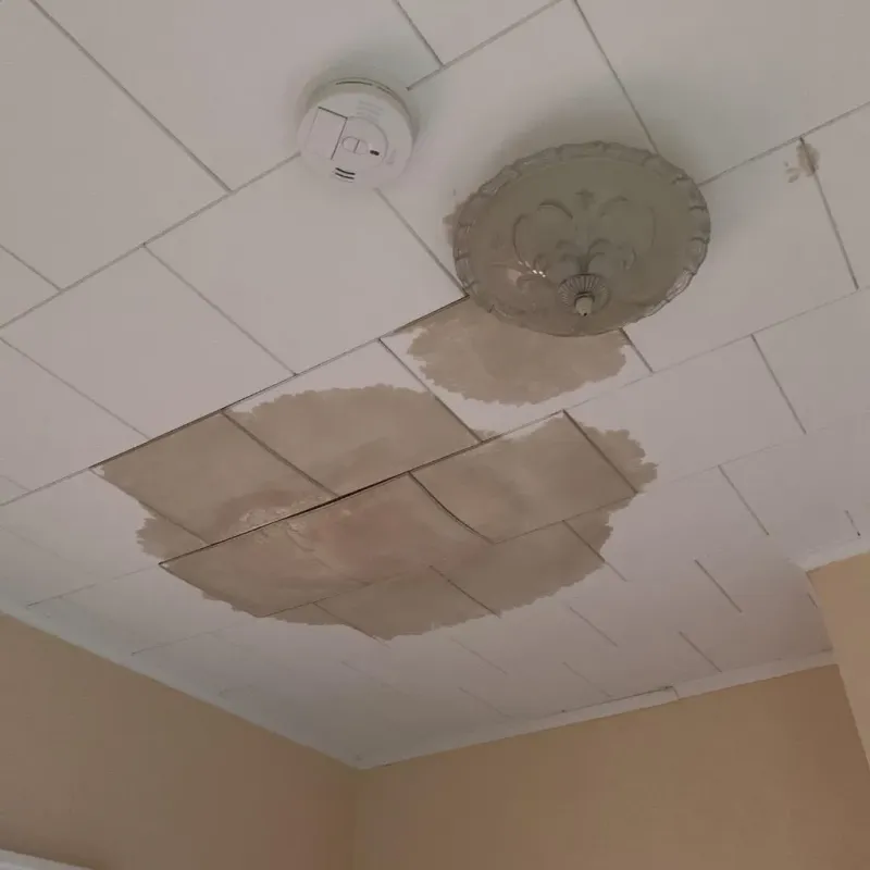 Ceiling Water Damage Repair in Howland Center, OH
