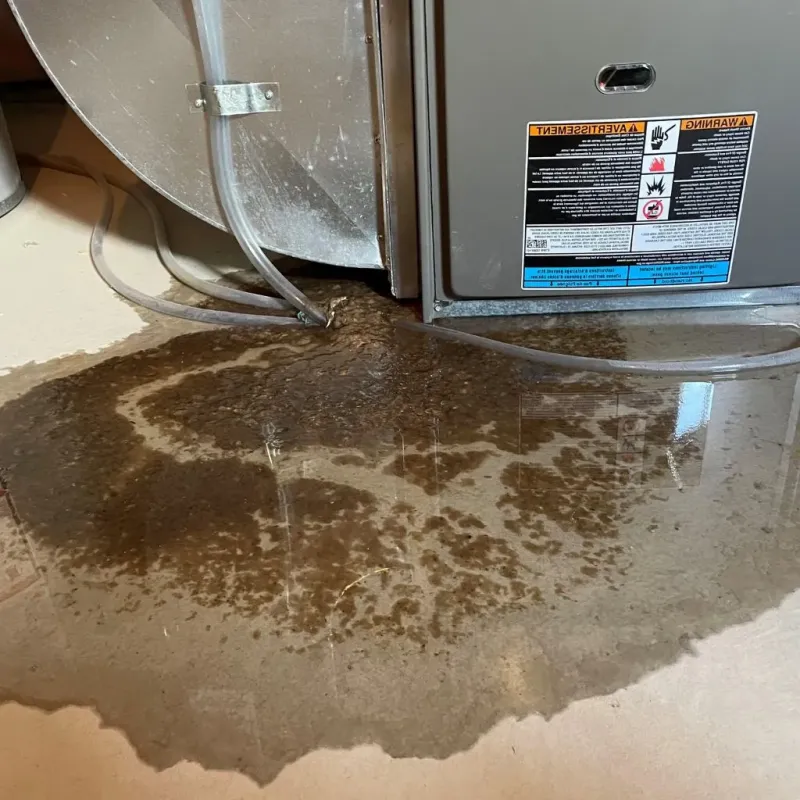 Pipe Burst and Leak Restoration in Howland Center, OH