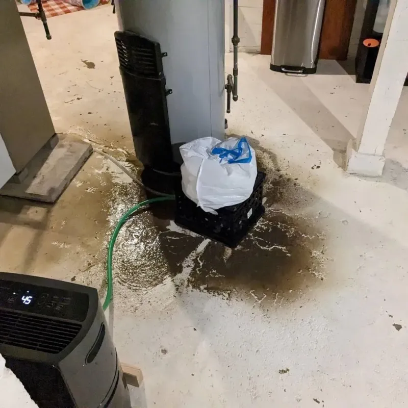 Sewage Backup Cleanup Service in Howland Center, OH